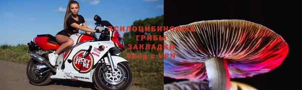 мяу мяу мука Алексин